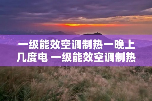 一级能效空调制热一晚上几度电 一级能效空调制热一天几度电