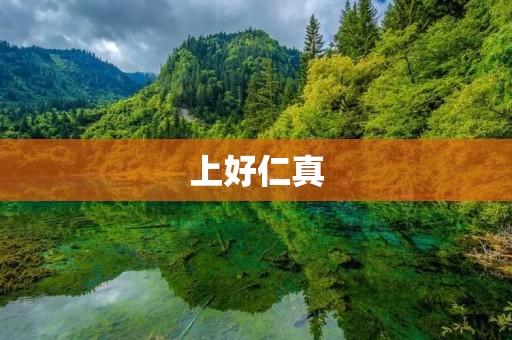 上好仁真：探寻真善美的力量