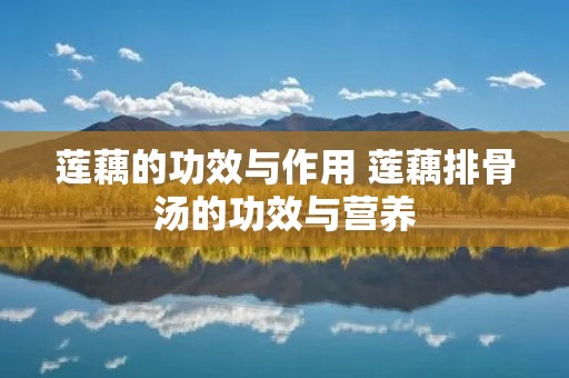莲藕的功效与作用 莲藕排骨汤的功效与营养