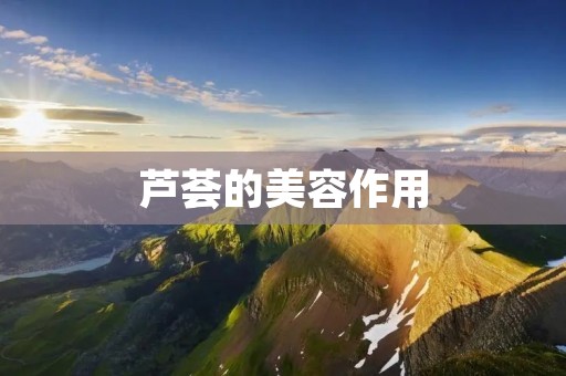 芦荟的美容作用:解析芦荟在护肤领域的神奇功效