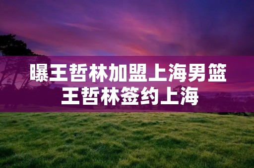 曝王哲林加盟上海男篮 王哲林签约上海