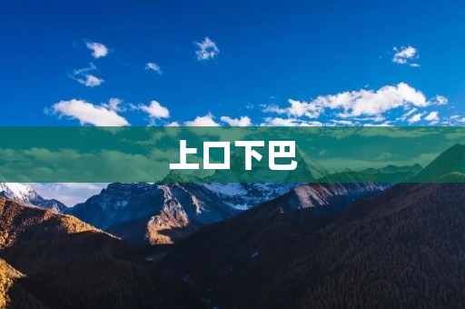 上口下巴：探寻面部整形的美学之道