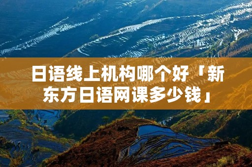 日语线上机构哪个好「新东方日语网课多少钱」