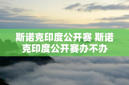 斯诺克印度公开赛 斯诺克印度公开赛办不办