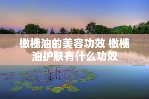 橄榄油的美容功效 橄榄油护肤有什么功效