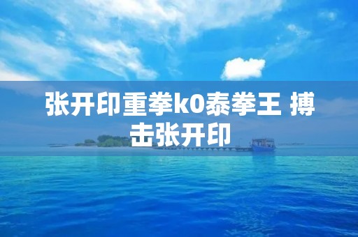 张开印重拳k0泰拳王 搏击张开印 张开印重拳k0泰拳王 搏击张开印