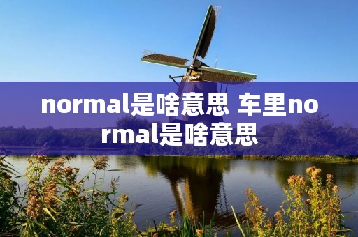 normal是啥意思 车里normal是啥意思