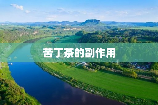 苦丁茶的副作用:你需要了解的重要信息
