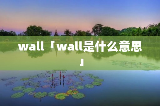 wall「wall是什么意思」