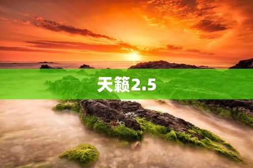 天籁2.5：一款让你沉醉的音乐之旅