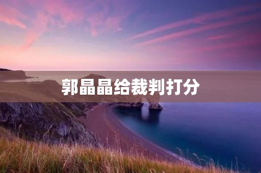 郭晶晶给裁判打分：公正与公平的纠结