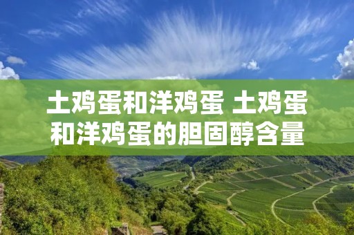 土鸡蛋和洋鸡蛋 土鸡蛋和洋鸡蛋的胆固醇含量