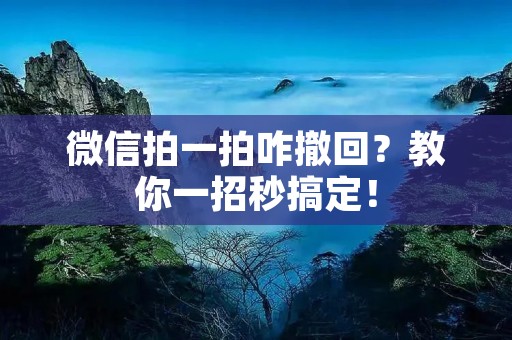 微信拍一拍咋撤回?教你一招秒搞定!