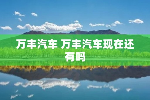 万丰汽车 万丰汽车现在还有吗