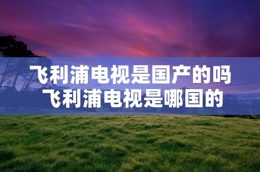 飞利浦电视是国产的吗 飞利浦电视是哪国的牌子 飞利浦电视是国产的吗 飞利浦电视是哪国的牌子