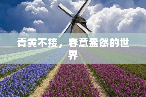 青黄不接,春意盎然的世界