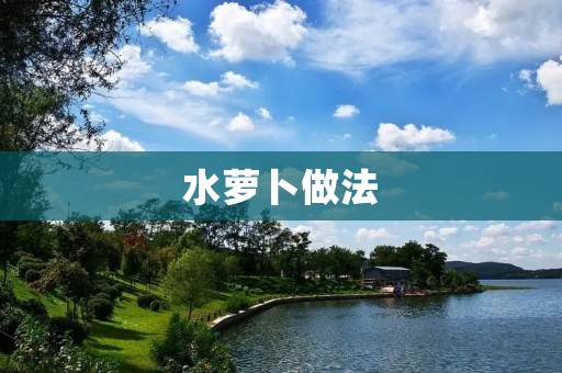 水萝卜做法:营养丰富,简单易学 水萝卜做法:营养丰富,简单易学