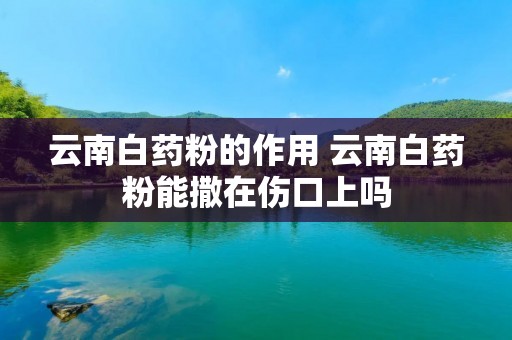 云南白药粉的作用 云南白药粉能撒在伤口上吗 云南白药粉的作用 云南白药粉能撒在伤口上吗
