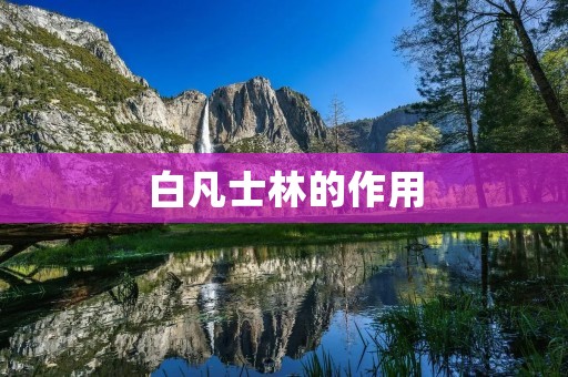 白凡士林的作用:解密百变万能的保湿利器
