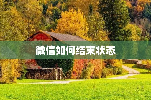 微信如何结束状态