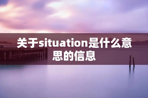 关于situation是什么意思的信息