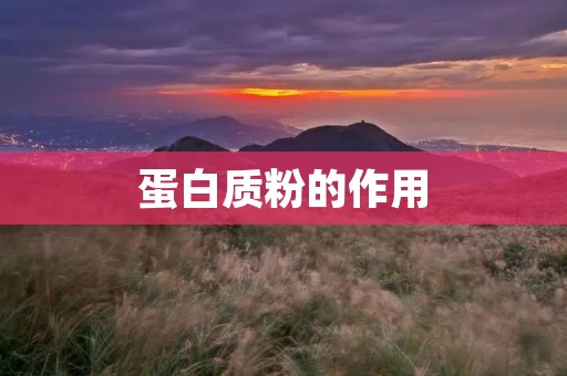 蛋白质粉的作用:深入了解蛋白质粉的功效及适用范围