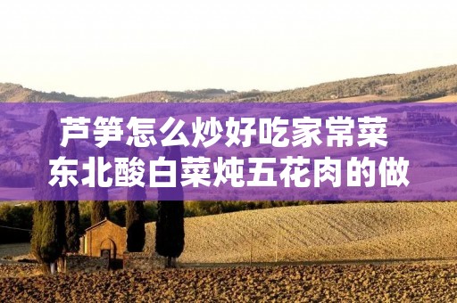 芦笋怎么炒好吃家常菜 东北酸白菜炖五花肉的做法