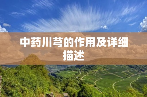 中药川芎的作用及详细描述