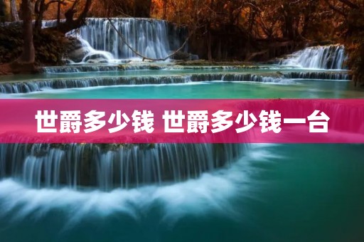 世爵多少钱 世爵多少钱一台