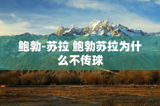 鲍勃-苏拉 鲍勃苏拉为什么不传球