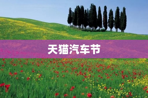 天猫汽车节:为你带来极致的汽车购物体验 天猫汽车节:为你带来极致的汽车购物体验