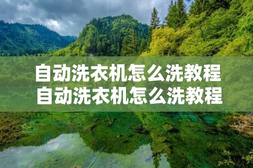 自动洗衣机怎么洗教程 自动洗衣机怎么洗教程简单