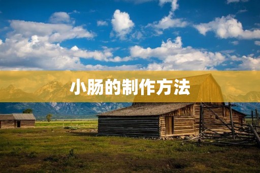 小肠的制作方法