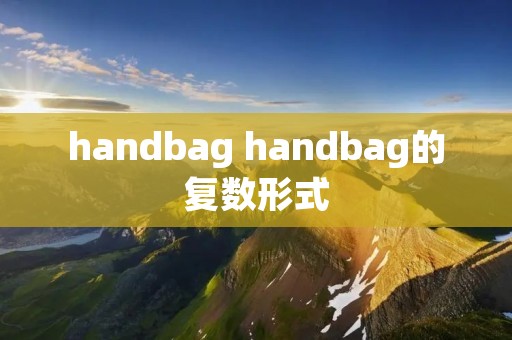 handbag handbag的复数形式