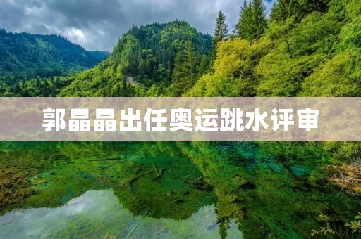 郭晶晶出任奥运跳水评审:为中国跳水事业注入新动力 郭晶晶出任奥运跳水评审:为中国跳水事业注入新动力