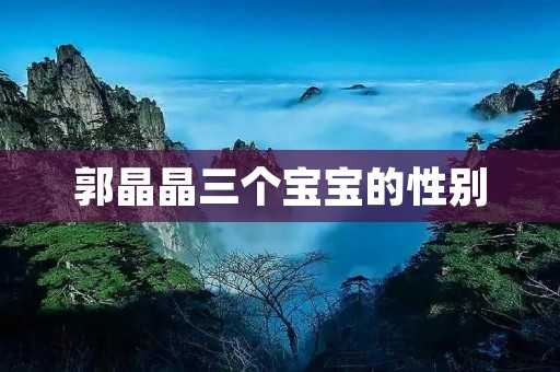 郭晶晶三个宝宝的性别:揭秘郭晶晶与刘翔的宝宝们的性别之谜 郭晶晶三个宝宝的性别:揭秘郭晶晶与刘翔的宝宝们的性别之谜