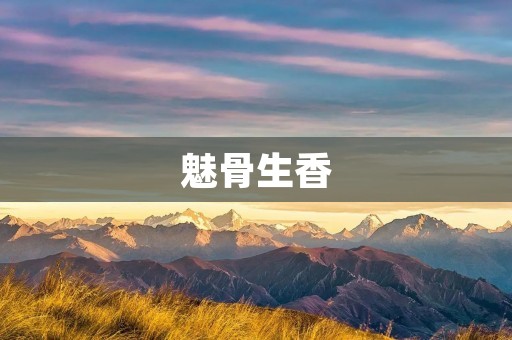魅骨生香：探索香水的神秘之旅
