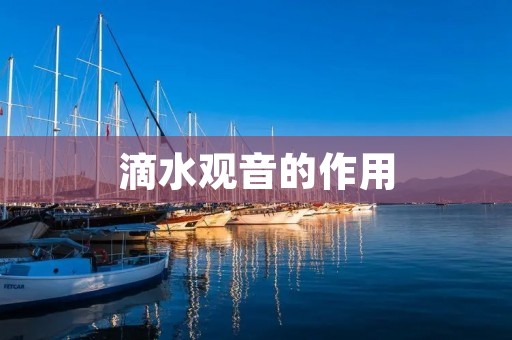 滴水观音的作用:探究佛教文化中的神奇守护品