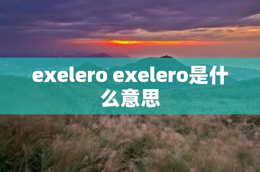 exelero exelero是什么意思