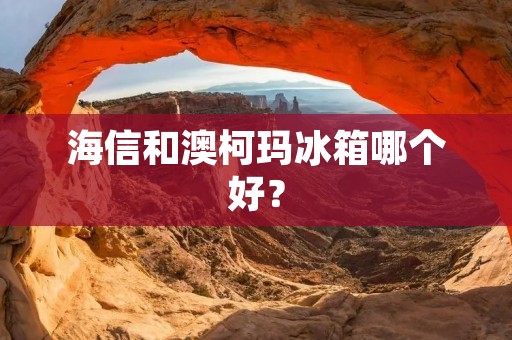 海信和澳柯玛冰箱哪个好? 海信和澳柯玛冰箱哪个好?