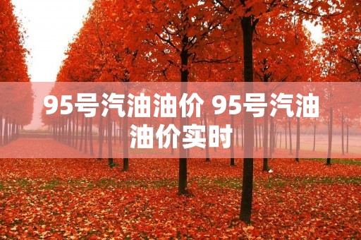 95号汽油油价 95号汽油油价实时