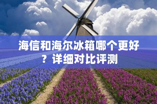海信和海尔冰箱哪个更好?详细对比评测 海信和海尔冰箱哪个更好?详细对比评测