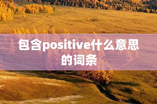 包含positive什么意思的词条