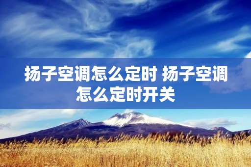 扬子空调怎么定时 扬子空调怎么定时开关