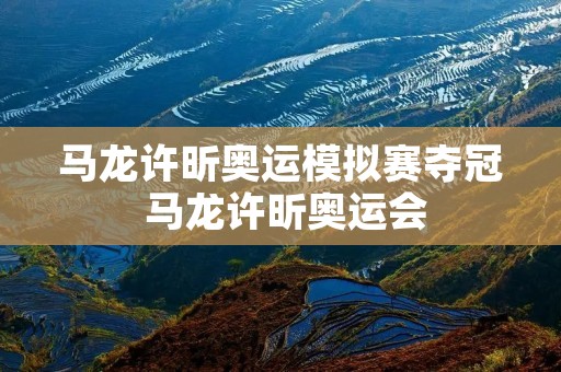 马龙许昕奥运模拟赛夺冠 马龙许昕奥运会 马龙许昕奥运模拟赛夺冠 马龙许昕奥运会
