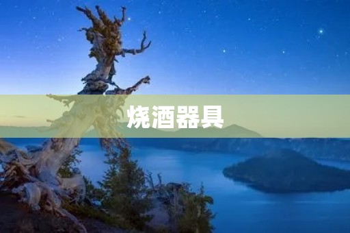 烧酒器具：品味美酒的不二选择