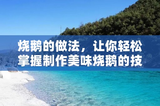 烧鹅的做法，让你轻松掌握制作美味烧鹅的技巧
