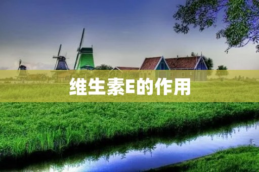 维生素E的作用:保护细胞健康,预防慢性疾病