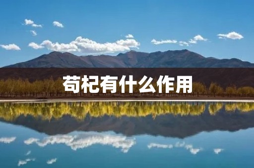 苟杞有什么作用