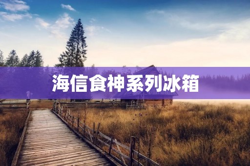 海信食神系列冰箱：品质与创新的完美结合